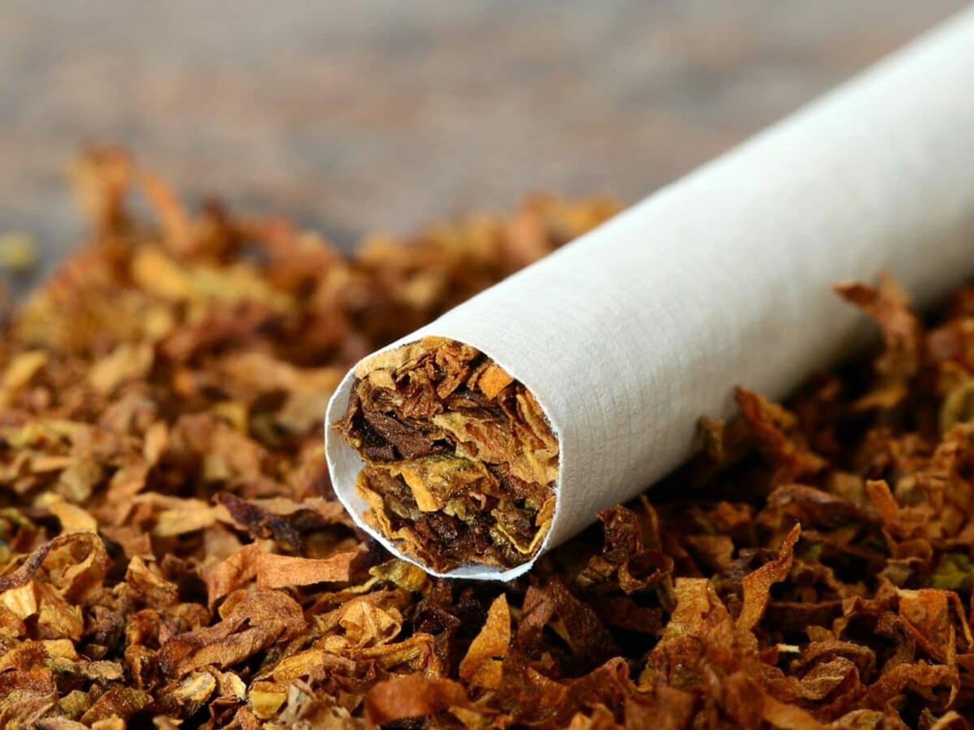 Tobacco Manufacturer in Nepal Supplying Bulk Smokeless Tobacco Worldwide
